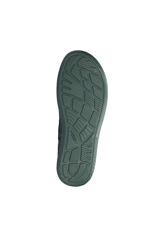 Waldlaufer botje olive-photo-6