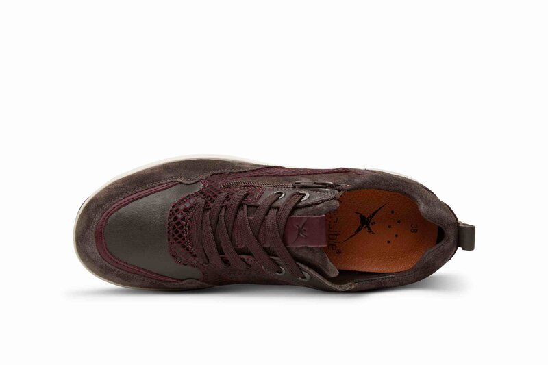Xsensible schoen d. bruin-photo-4