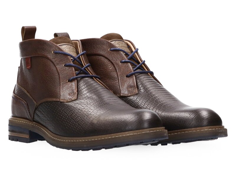 Australian schoen bruin-photo-3