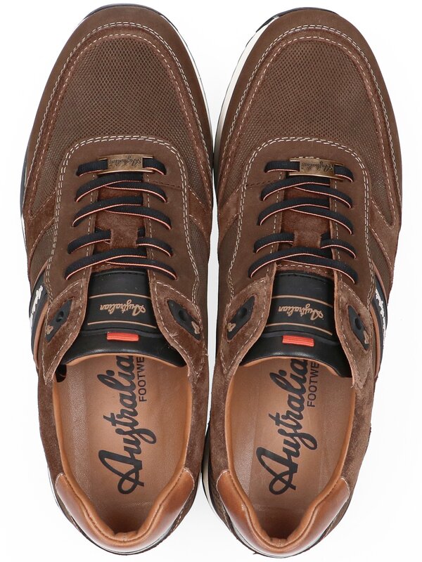 Australian schoen bruin-photo-5